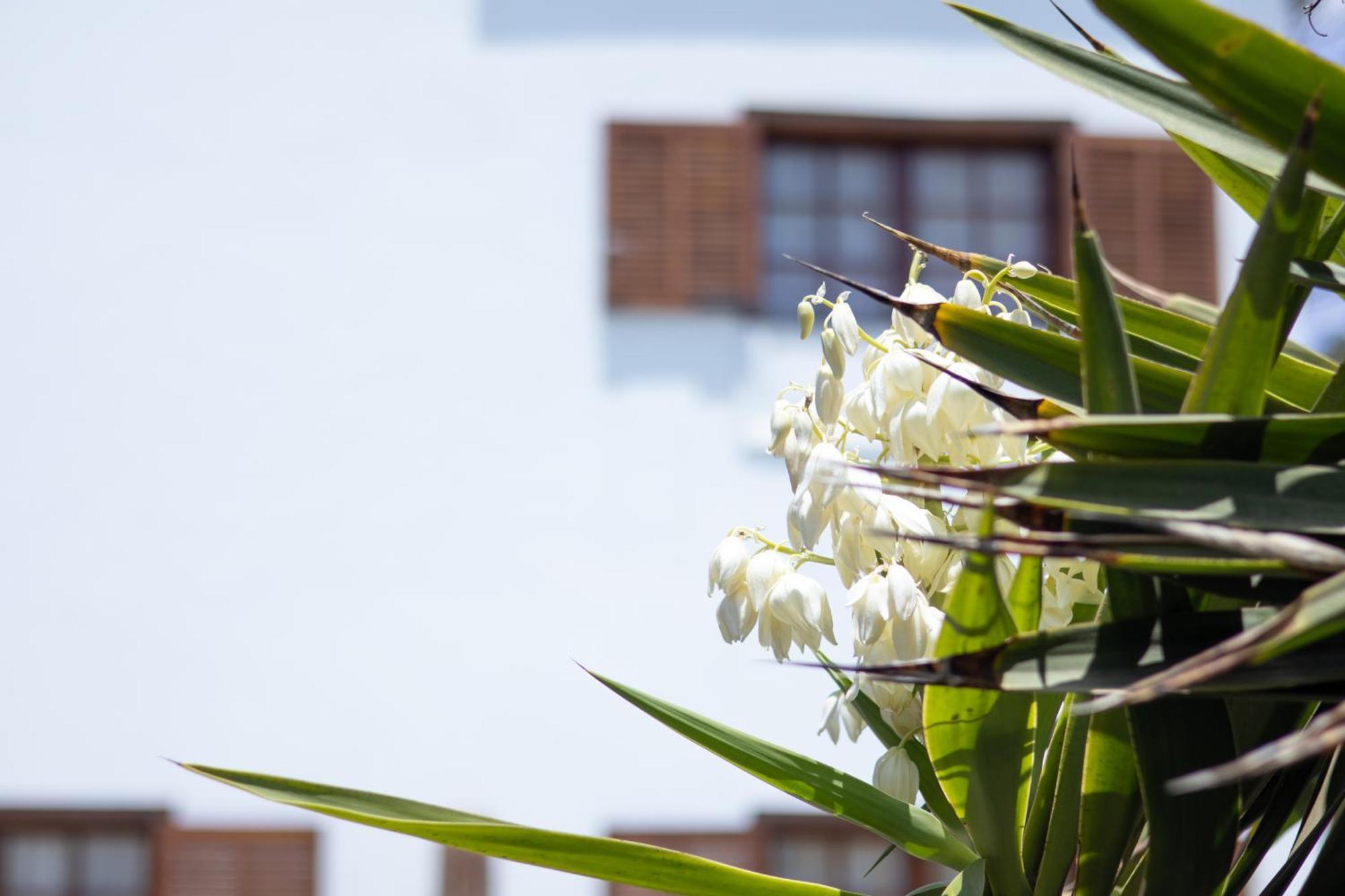 Villa Iseo Playa Blanca  Kültér fotó